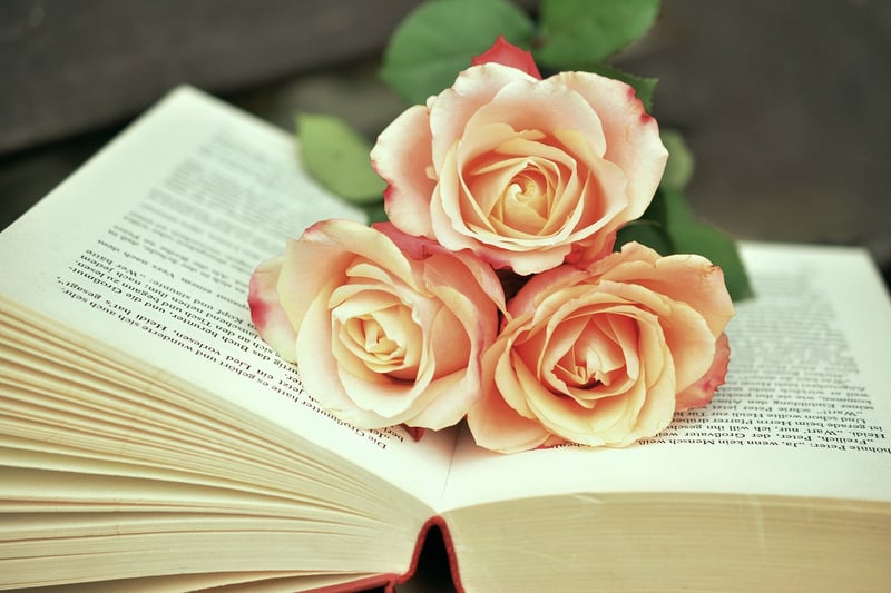 Motivational Books